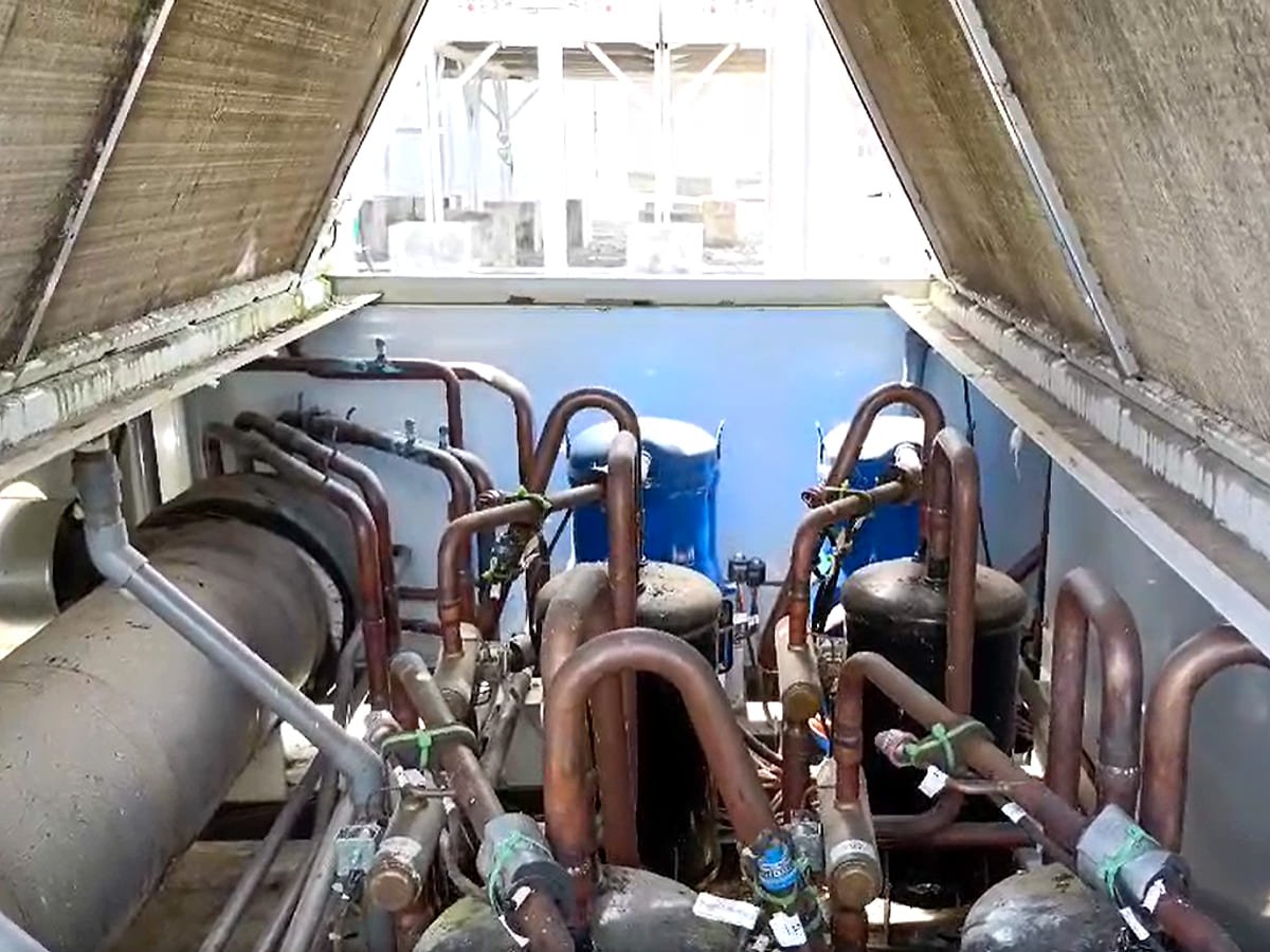 Row of compressors linked by copper suction and discharge lines in a plant room